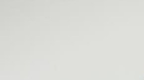 Directora de ACLU en Puerto Rico, Annette M. Martínez Orabona