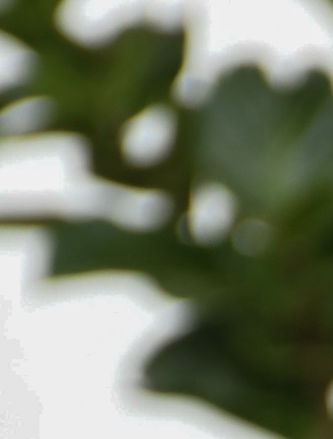 La atleta olímpica ugandesa Rebecca Cheptegei posa para un retrato durante el inicio de la participación del equipo ugandés en los Juegos Olímpicos de París 2024.