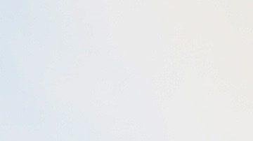 Fans Atlético de Madrid.