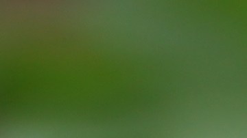 ¿Es seguro congelar atún enlatado?