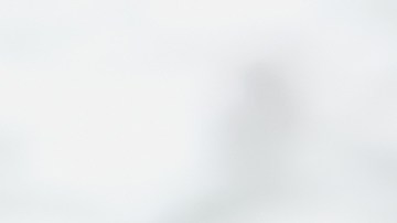 La avena es rica en elementos nutritivos y funcionales, ya que es uno de los pocos cereales que se comercializa en su forma completa, conservando todas sus partes.