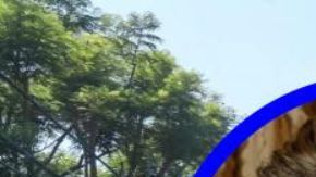 Ben Affleck está comenzando una nueva etapa de su vida sin Jennifer López.