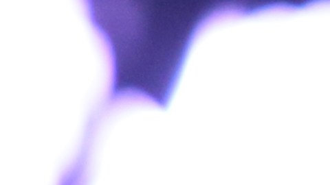 Billy Joel construyó esta gran propiedad desde cero.