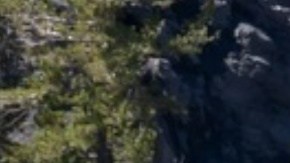 CHP atendió el accidente que ocurrió en la autopista 85 de San José.