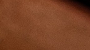 La canela tiene la propiedad de acelerar el metabolismo