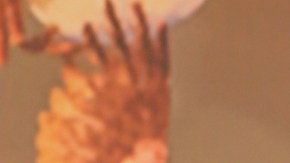 Carlos Adyan, presentador de televisión.