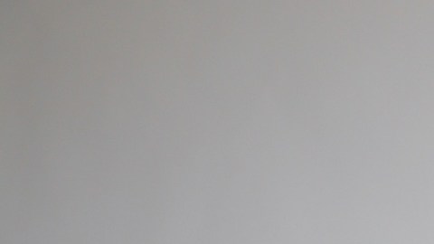 Carolina Sandoval, presentadora venezolana de televisión.