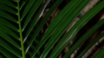 Christian de la Campa participó esta semana en Hoy Día.