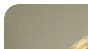 Colt y Colin Gray / tiroteo en escuela de Georgia