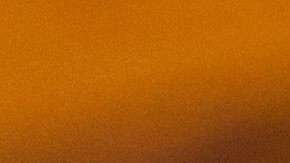 Aprende a conservar los tomates por más tiempo