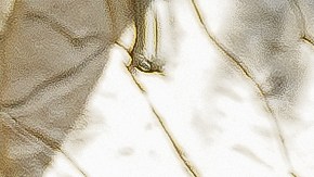 Los comensales se sumergen en una atmósfera culturalmente rica que va más allá de la gastronomía