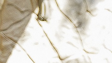 Los comensales se sumergen en una atmósfera culturalmente rica que va más allá de la gastronomía