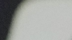 Presidente de UFC, Dana White.