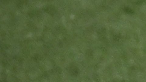 Logo de la NFL en partido de Detroit Lions.