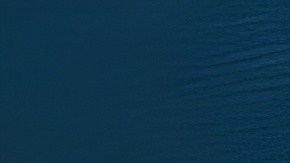 La celebración del Día Nacional del Taco tiene nueva fecha