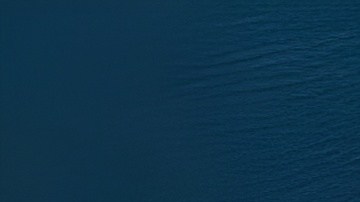 La celebración del Día Nacional del Taco tiene nueva fecha