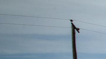 La organización The Haitian Bridge Alliance creó esta villa para que vivan decenas de personas en Tijuana.