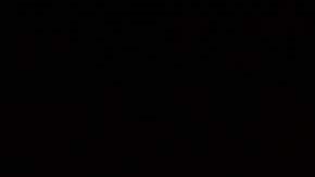 El alcalde Eric Adams tendrá una charla con el zar fronterizo