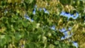 El sheriff dijo que los estudiantes se conocían. Actualmente el accidente está bajo investigación.