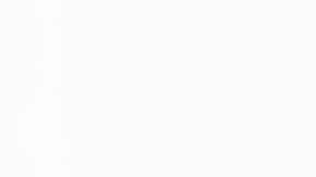 Un gran número de jóvenes han priorizado su educación por sobre otros aspectos.