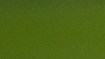 Fan de República Checa.