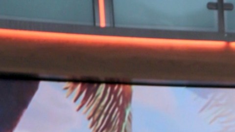 Francisca, presentadora de Despierta América.