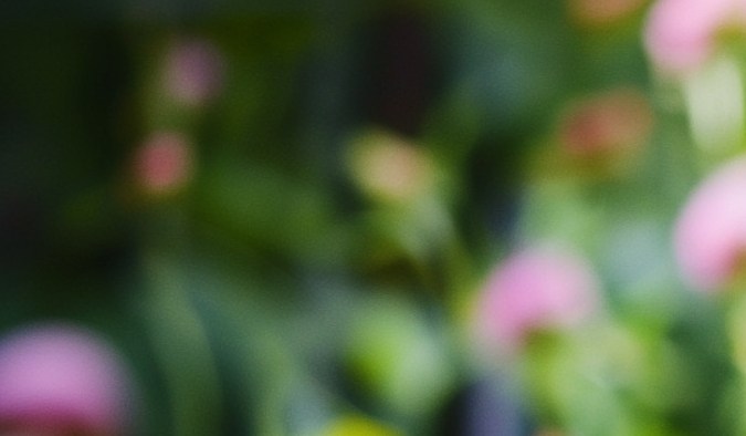 Las frutas y vegetales aportan fibra que ayuda a prevenir el estreñimiento.