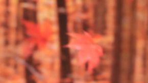 Gaby Espino no ha terminado con las reformas de la casa.