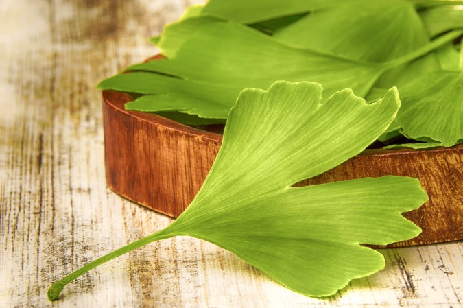 El ginkgo biloba contiene compuestos bioactivos con gran poder antioxidante y antiinflamatorio.