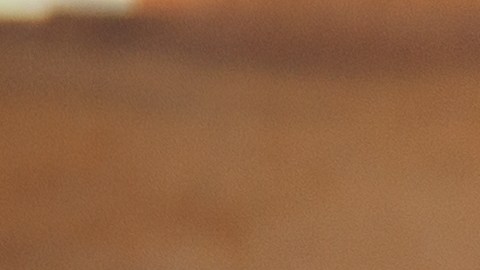 Gran demanda de oficios y trabajos vocacionales en 2024