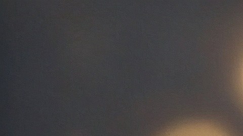 Conoce los restaurantes de alta gama que ofrecen las mejores hamburguesas con queso del país.