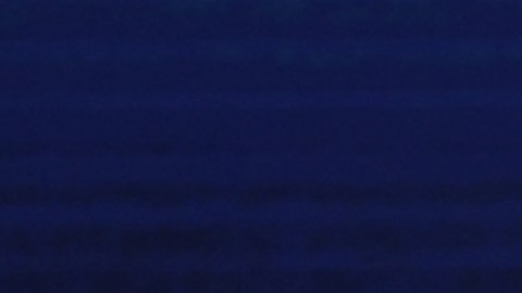 La polaca Iga Swiatek, busca ganar su segundo US Open.