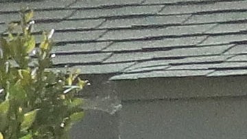 Jeremy Allen White y Molly Gordon son parte del elenco de 'The Bear'.