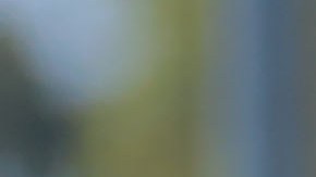 El jugador brasileño seguirá con los felinos a pesar de los rumores sobre su salida.