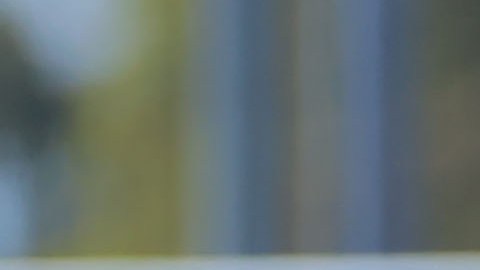 El jugador brasileño seguirá con los felinos a pesar de los rumores sobre su salida.