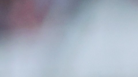 Chivas de Guadalajara anunció nuevos refuerzos para el presente torneo Apertura 2024.