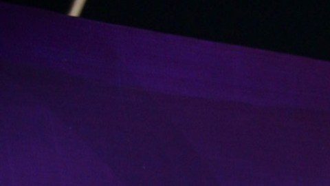 Laura Bozzo, presentadora de televisión.