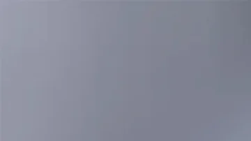 Hallan cadáver que sería del autor del tiroteo en una carretera de Kentucky