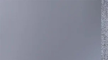 Se ofreció una recompensa de $25,000 dólares por información que dé con el paradero y posterior captura de Couch.