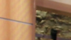 Lili Estefan y Raúl de Molina, conductores del programa El Gordo y la Flaca.