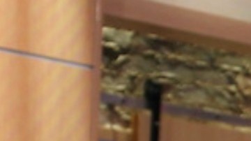 Lili Estefan y Raúl de Molina, conductores del programa El Gordo y la Flaca.