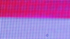 Migbelis Castellanos, presentadora venezolana de televisión.