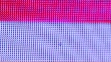 Migbelis Castellanos, presentadora venezolana de televisión.