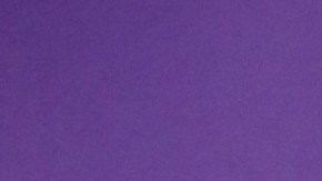 Migbelis Castellanos, presentadora de televisión.