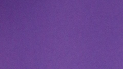 Migbelis Castellanos, presentadora de televisión.