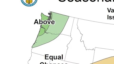 Se prevé más precipitaciones de lo habitual en Nueva York para septiembre, octubre y noviembre de 2024.