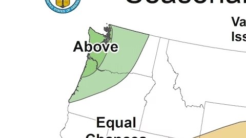 Se prevé más precipitaciones de lo habitual en Nueva York para septiembre, octubre y noviembre de 2024.