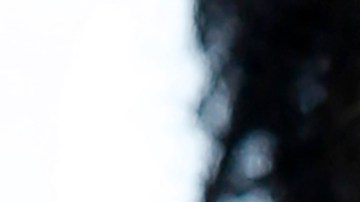 Nicolas Cage hizo la compra a través de un fideicomiso.