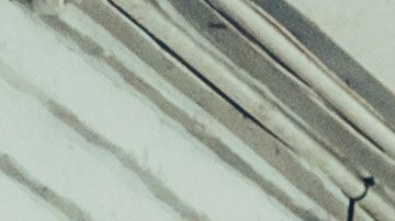 Hace unos días NTVG dio el primer adelanto de este álbum, un sencillo titulado "Memorias del olvido–En vivo en Bogotá".