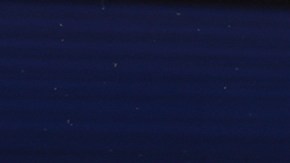 Karolina Muchova  y Jessica Pegula se miden en semifinales.